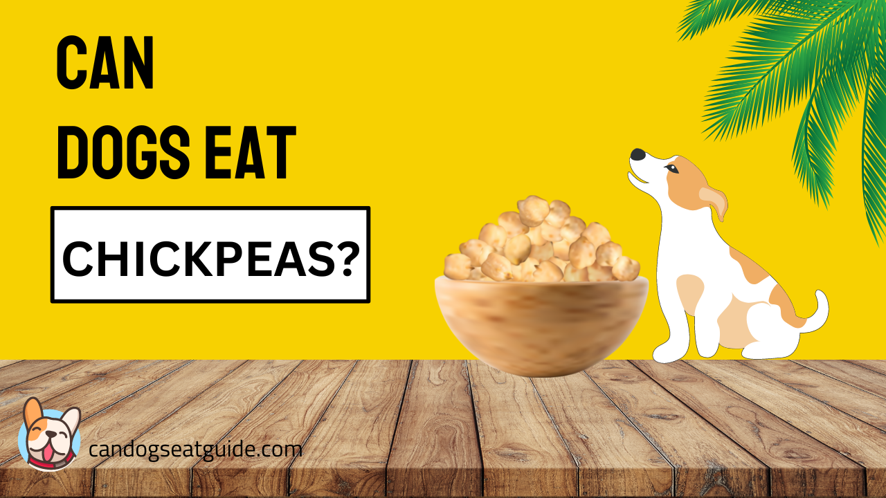 Can dogs eat chickpeas