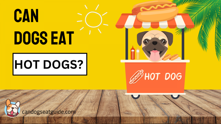 can dogs eat hot dogs