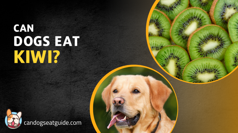 can dogs eat kiwi