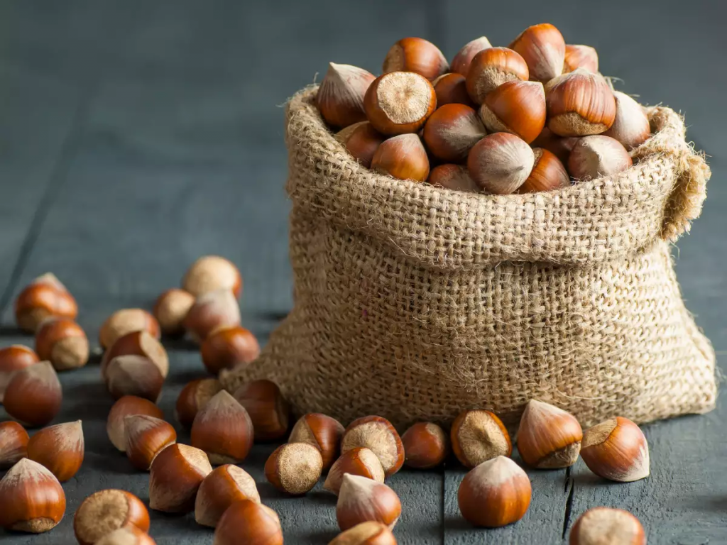 Can Dogs Eat Hazelnuts? 2