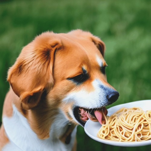A dog eating pasta from a plate outside