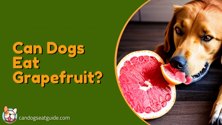 Can Dogs Eat Grapefruit