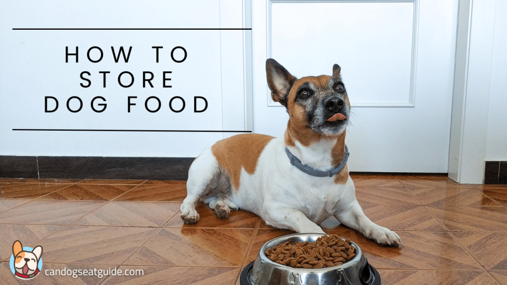 How to store dog food