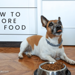 How to store dog food